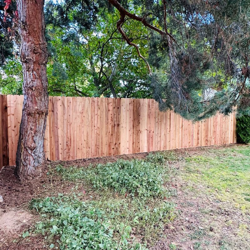 New wood fence in backyard