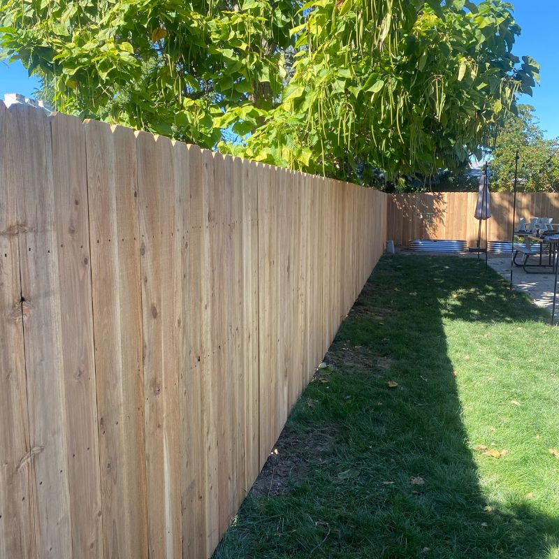 New cedar wood fence