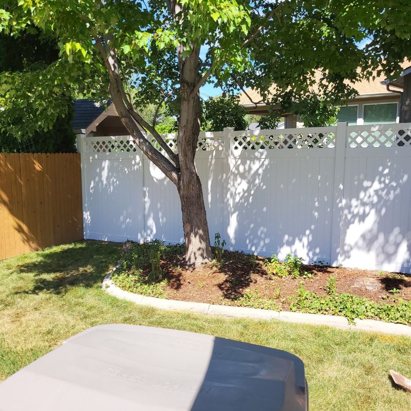 white vinyl fence with lattice in backyard