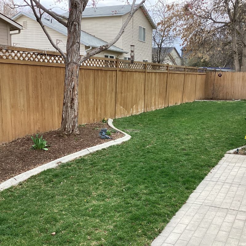 Wood Privacy fence with lattice