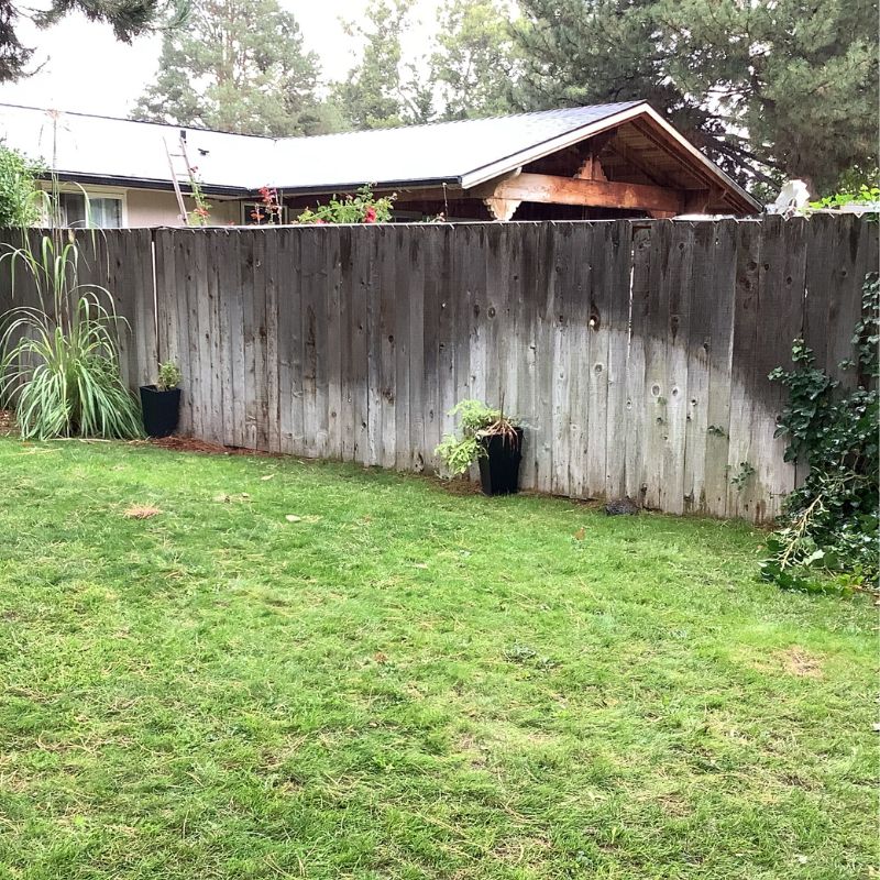 Older wooden fence backyard view