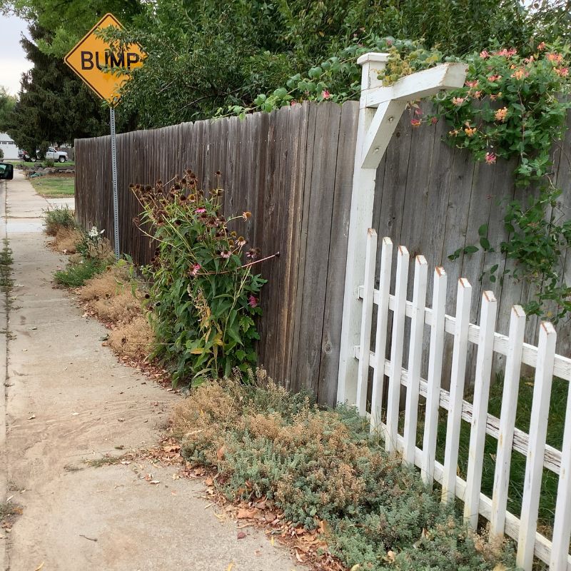 old wooden fences along sidewalk