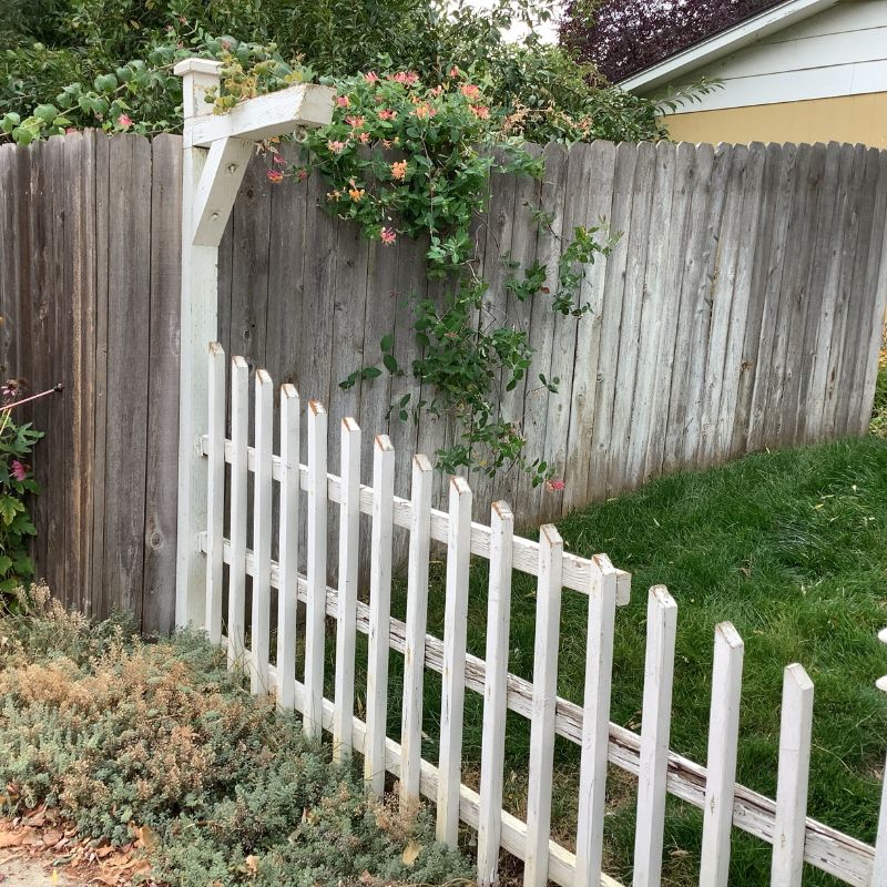 Older wooden fences