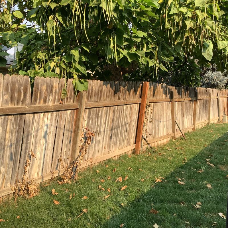 older wooden fence