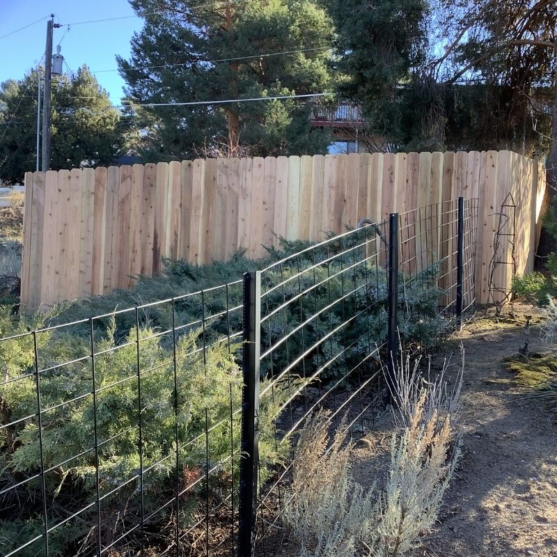 Cedar 6 foot privacy fence installed by Top Rail Fence