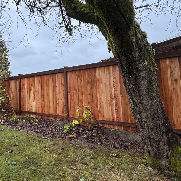 Stockade