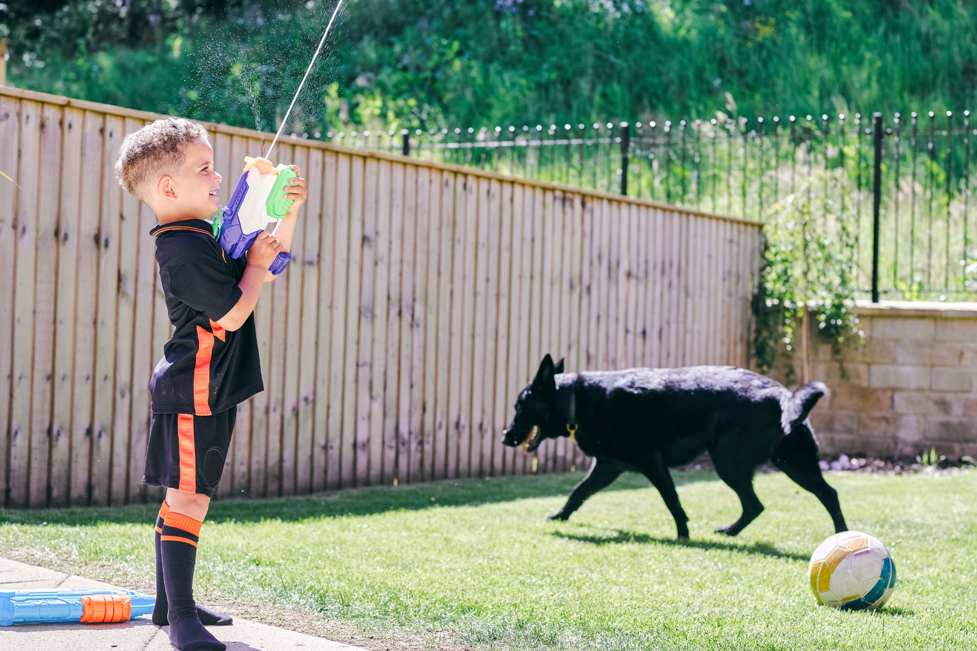 Child and dog playing in a fenced in backyard.