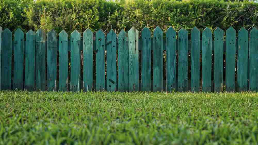 paint your wood fence