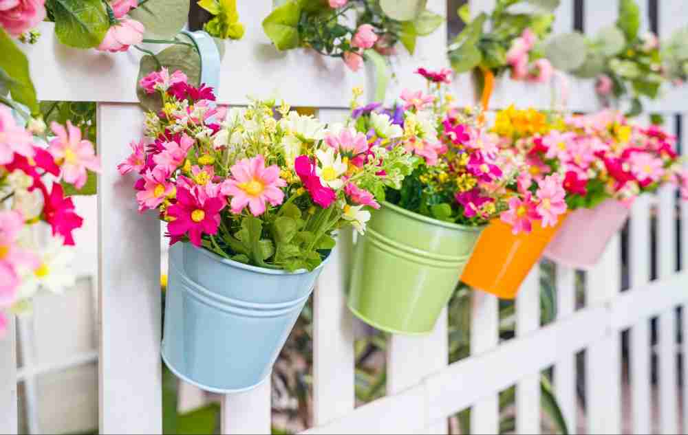 flower on fence wall