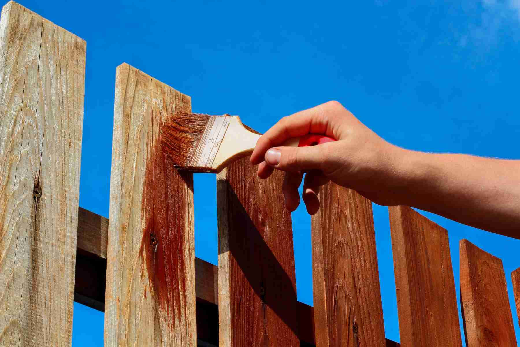 sealing-staining-wooden-fence