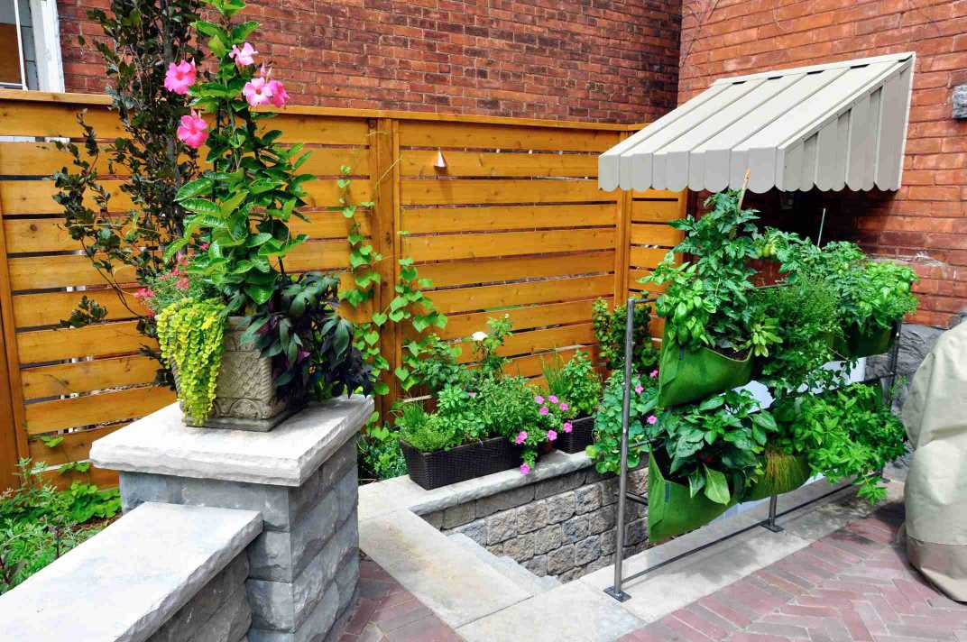 patio-plants-wood-horizontal-privacy-fence-ideas