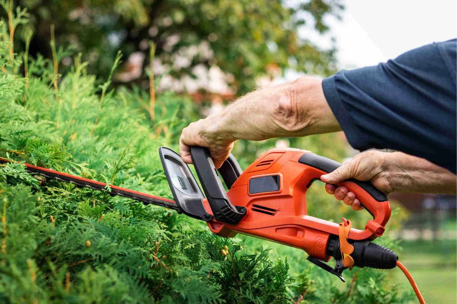 trimming-overgrowth-fence-maintenance-tips