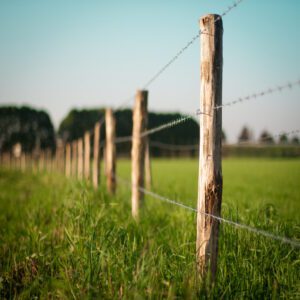 barbed wire fence farm agriculture