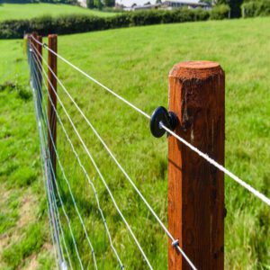 electric fence ranch farm