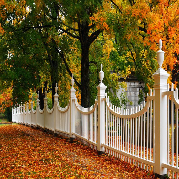 fall best fence install white picket