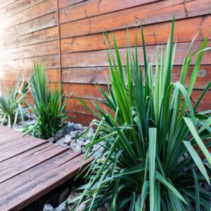 grasses rocks wood privacy fencing