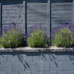 gray painted wood privacy fencing horizontal