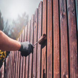 staining wood fence maintenance