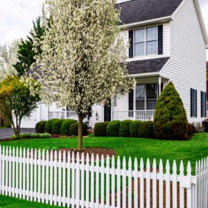 white picket fencing traditional