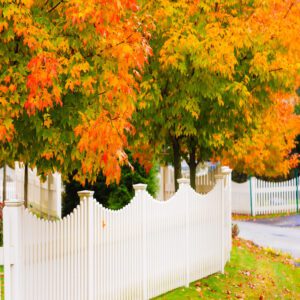 white vinyl picket trees