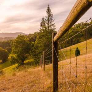 woven wire fence farm rural