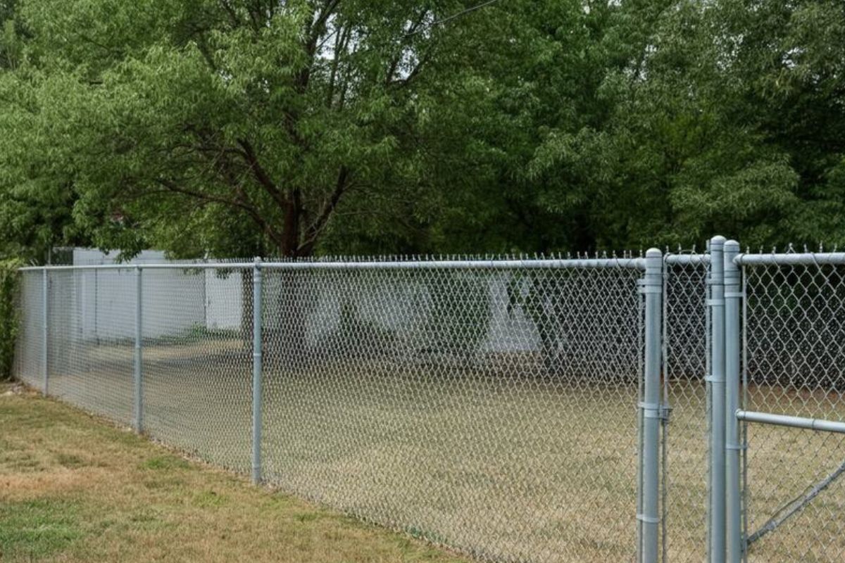 chain link fence