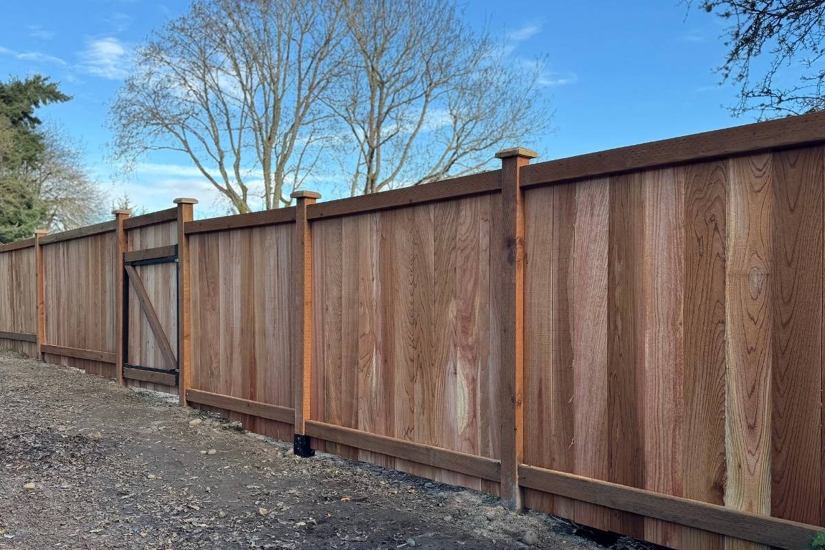 Wood cap and trim privacy fence