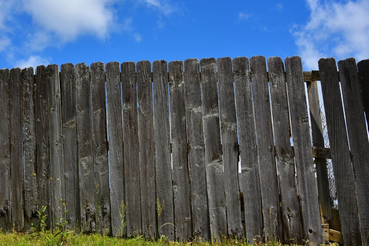 Old, broken wood fence