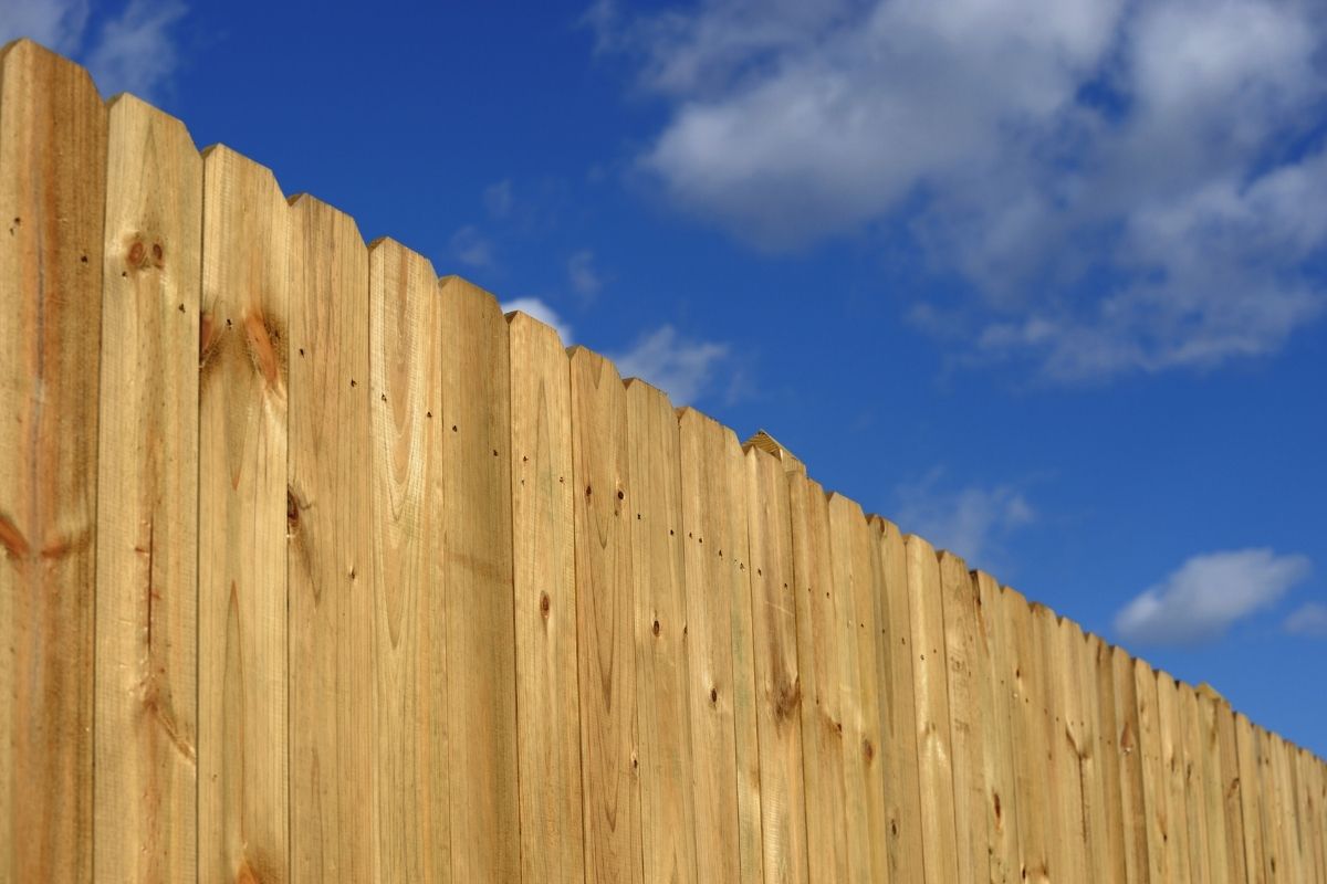 Pressure-Treated Pine