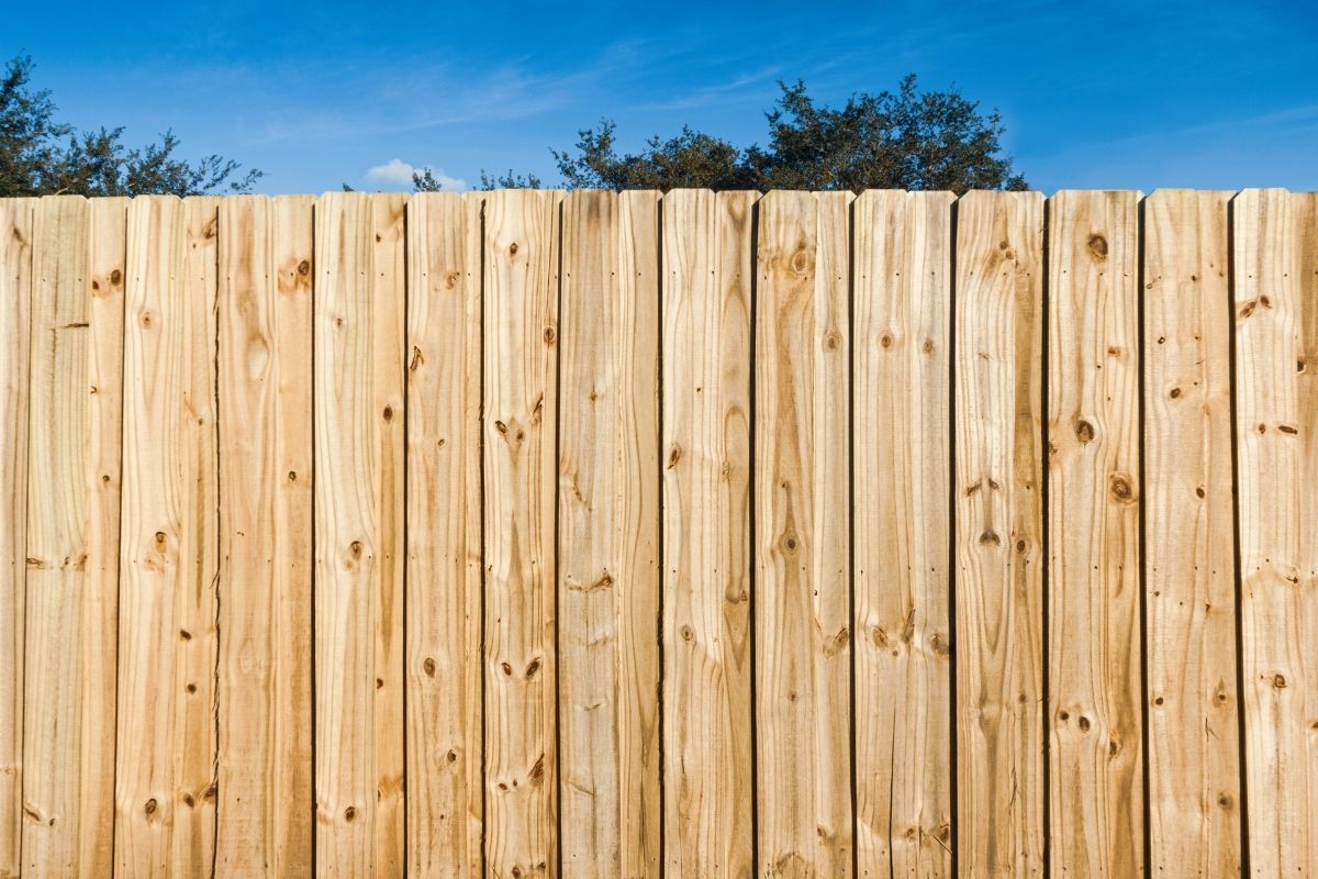Understanding Pressure-Treated Pine: Benefits, Uses, and Maintenance Tips