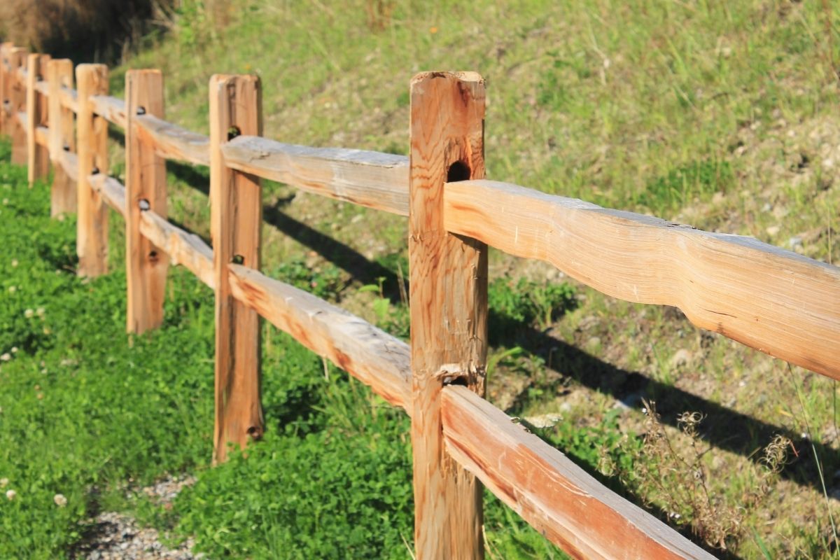 Split Rail Fence by top rail fence