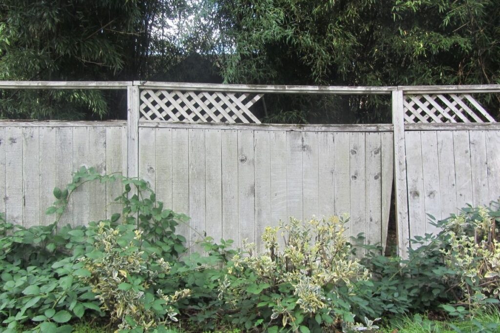 Old broken wood fence with missing lattice on top