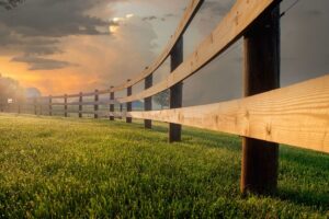 Wooden post and rail fence