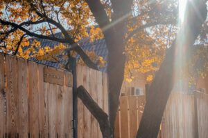 Wood fence in North Dallas fall weather