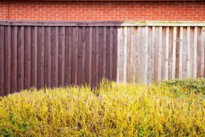 half painted wood board on board fence